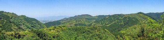 e0176993_07162119.jpg