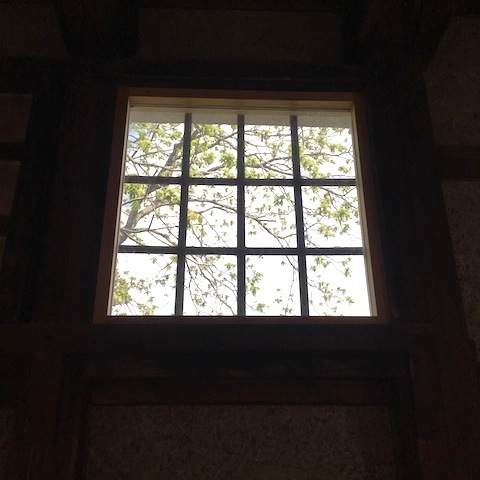 d0343297_19502742.jpeg