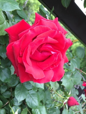 f0372998_21083151.jpg