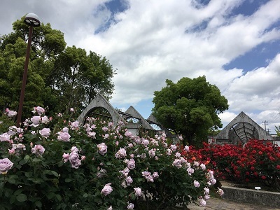 f0372998_21084090.jpg