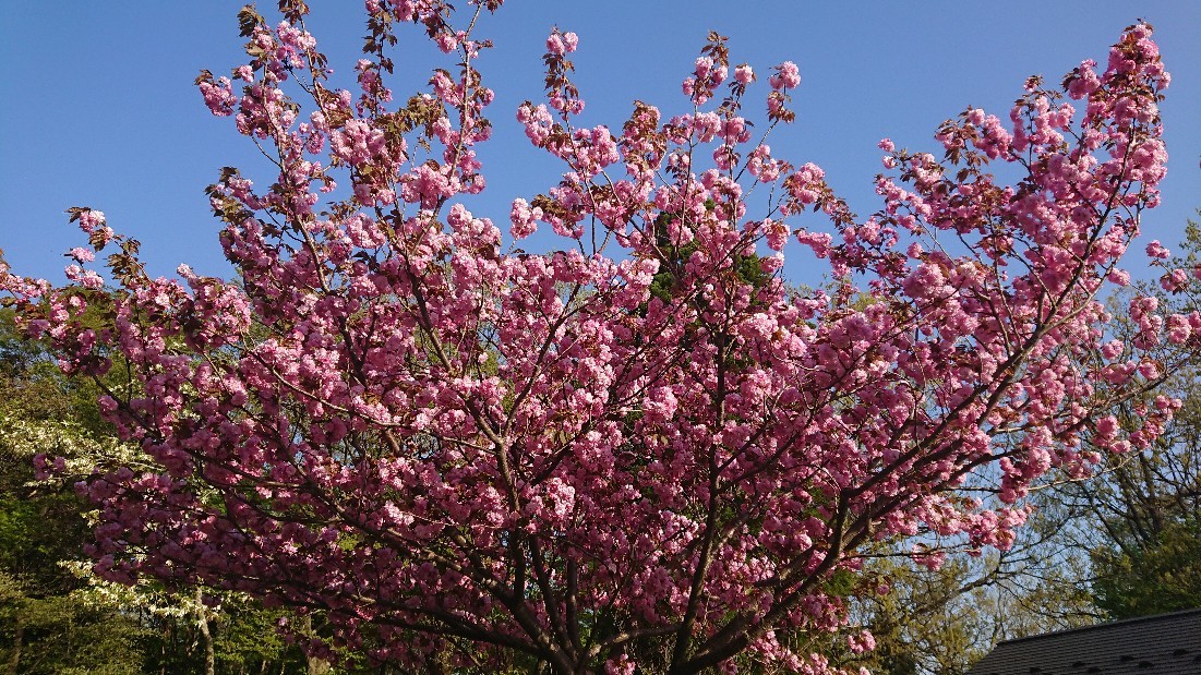 f0337700_21063221.jpg