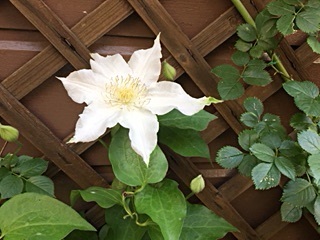 d0046702_20342647.jpg