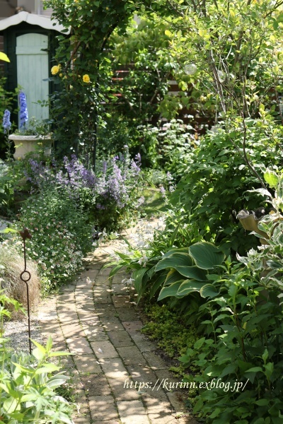 a0123003_08094516.jpg