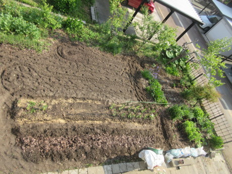 a0203003_21072940.jpg