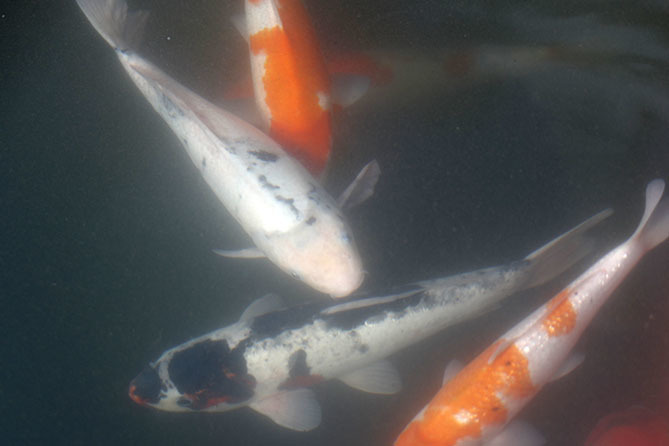 a0087804_22374671.jpg