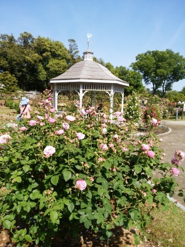 c0117007_20304777.jpg