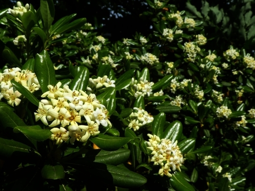 c0062511_21222790.jpg