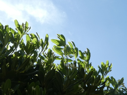 c0062511_21403941.jpg