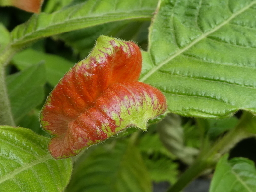 c0062511_23091462.jpg