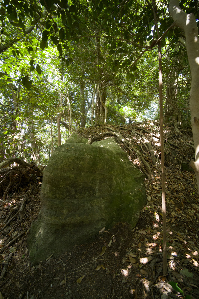 d0161322_20154601.jpg