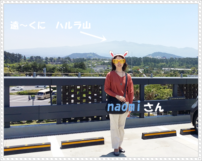 a0115924_21005979.png