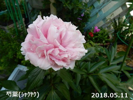 e0033229_19114868.jpg
