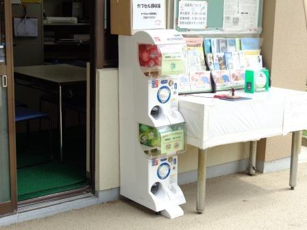 人気No1動物はコチラ!_a0116430_17262123.jpg