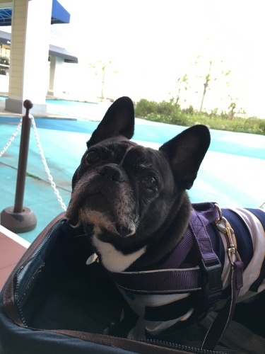 b0113232_19270156.jpeg