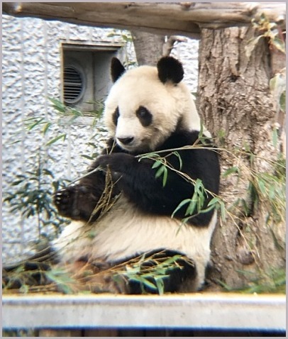 d0017632_07354695.jpeg
