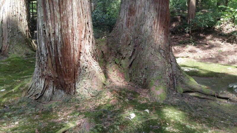 f0361132_16262128.jpg