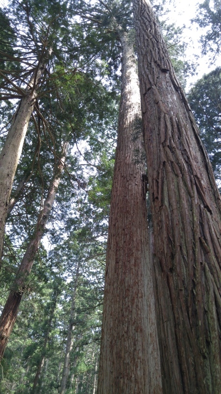 f0361132_16292037.jpg