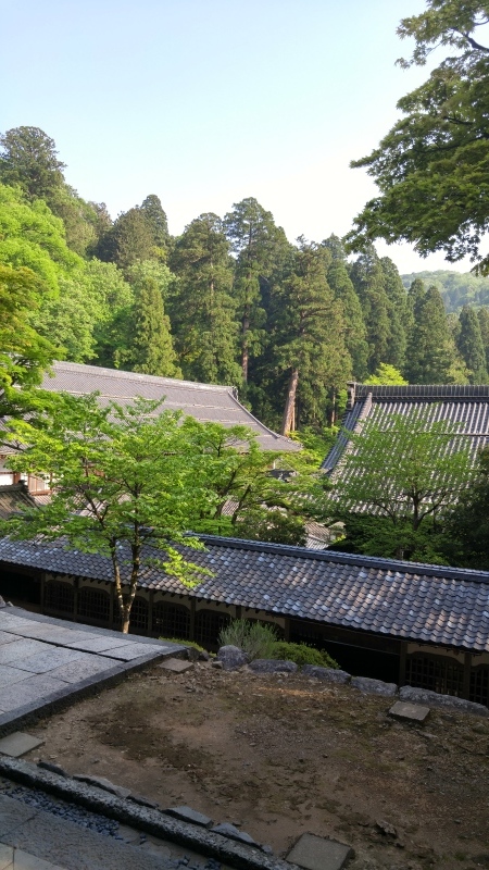 f0361132_17232212.jpg