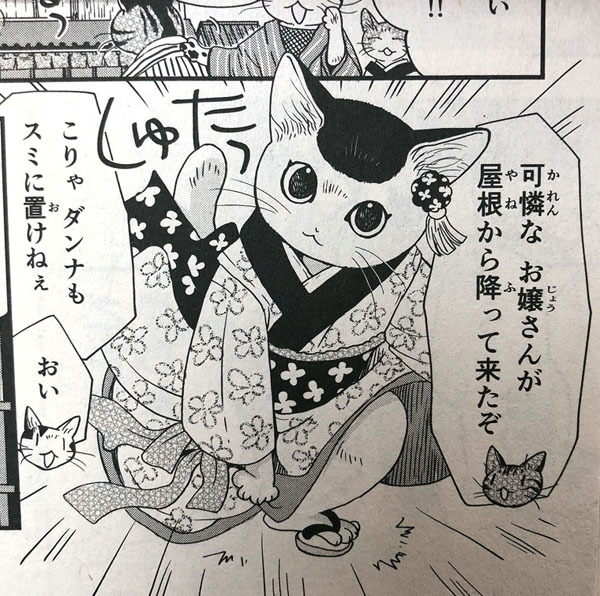 お江戸ねこぱんち 猫江戸ものがたり 山野りんりんの近況ブログ お江戸ねこぱんち 猫江戸ものがたり 山野りんりんの近況ブログ