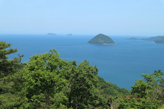 里山のイチヤクソウは間もなく開花！_e0272335_19404087.jpg