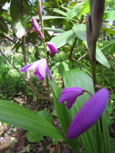 f0370337_13170530.jpg