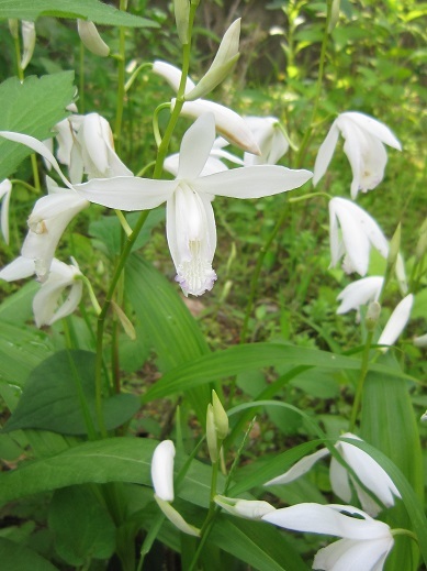 f0370337_13171154.jpg