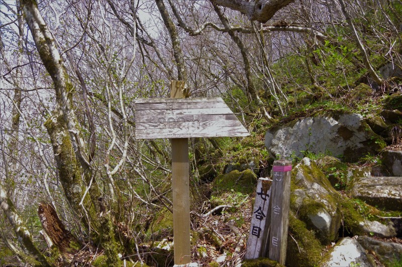 d0347140_23213730.jpg