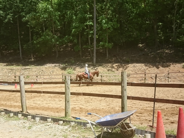 ニューホース カノン🐴_e0145441_22350699.jpg