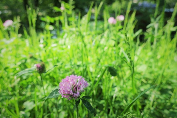 e0300042_16322520.jpg