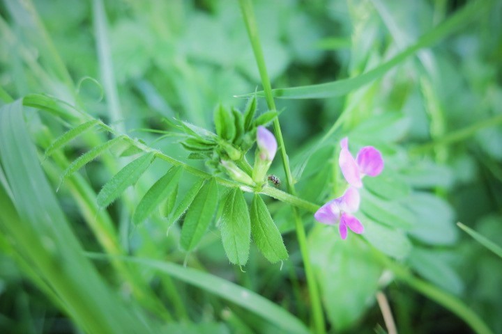 e0300042_16325630.jpg