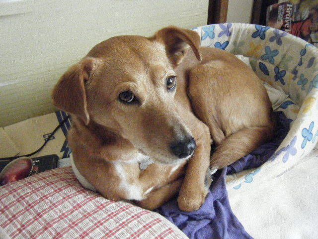 b0072650_14470315.jpg