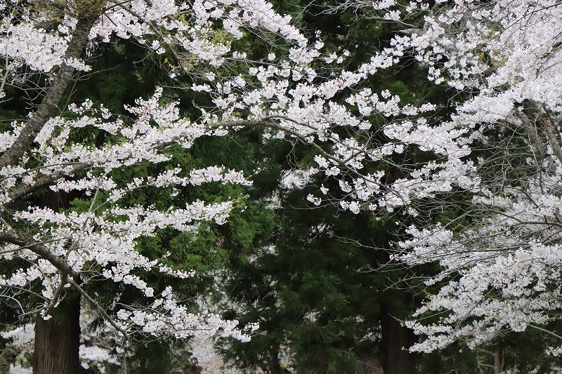 b0250154_20413919.jpg