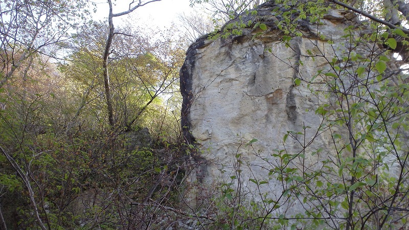 c0097754_10380072.jpg