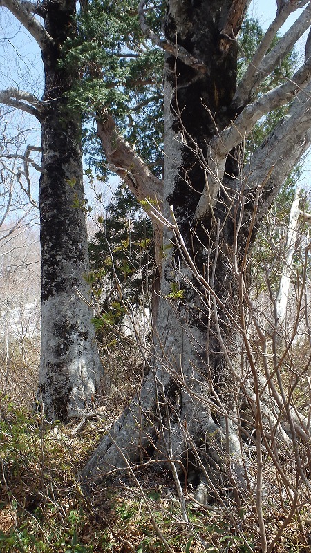 c0097754_10394818.jpg