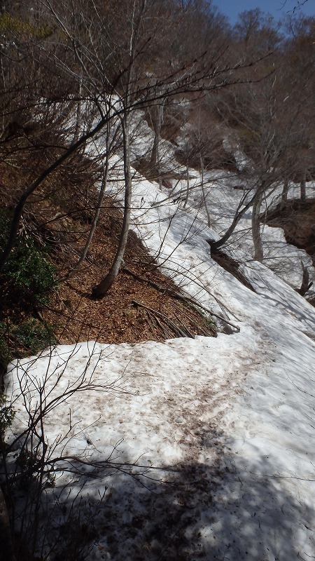 c0097754_10430454.jpg