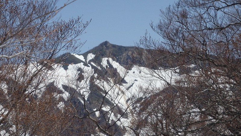 c0097754_10435503.jpg
