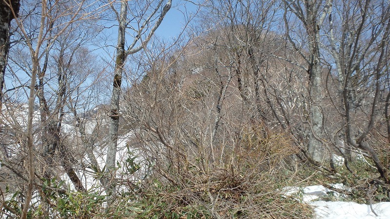 c0097754_10515930.jpg