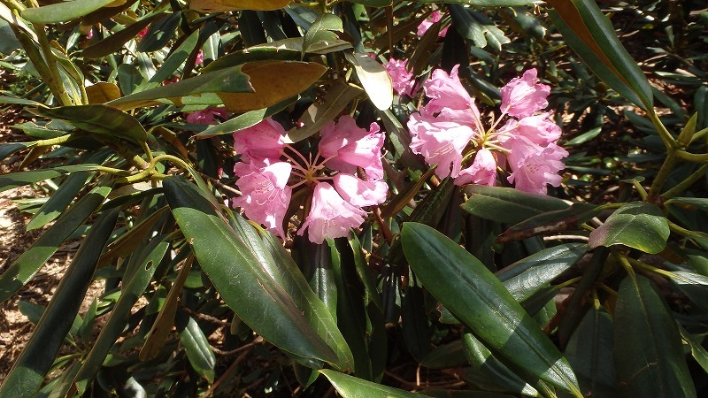 c0097754_16441478.jpg