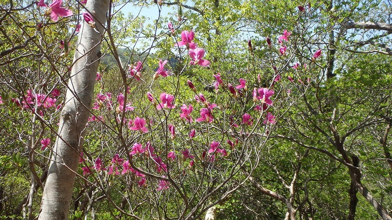 c0097754_16572736.jpg
