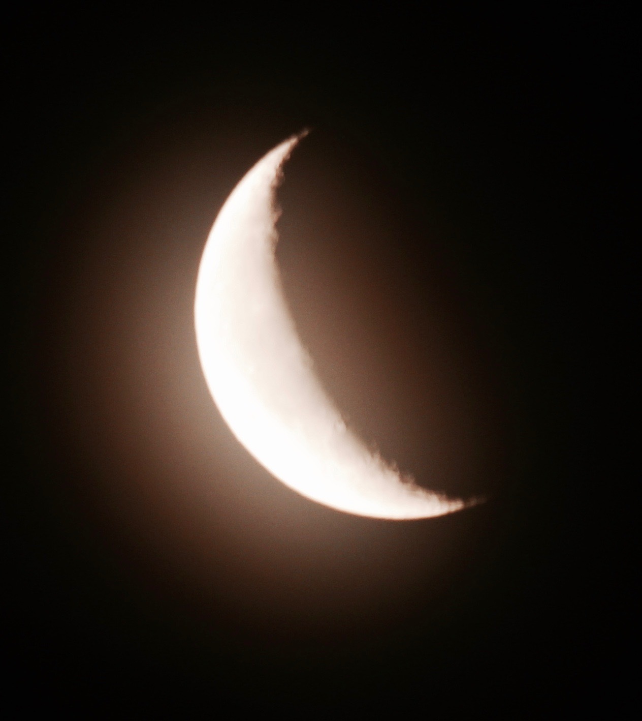 a0248459_14344747.jpg
