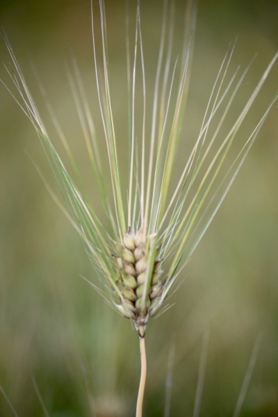 a0248459_14441410.jpg