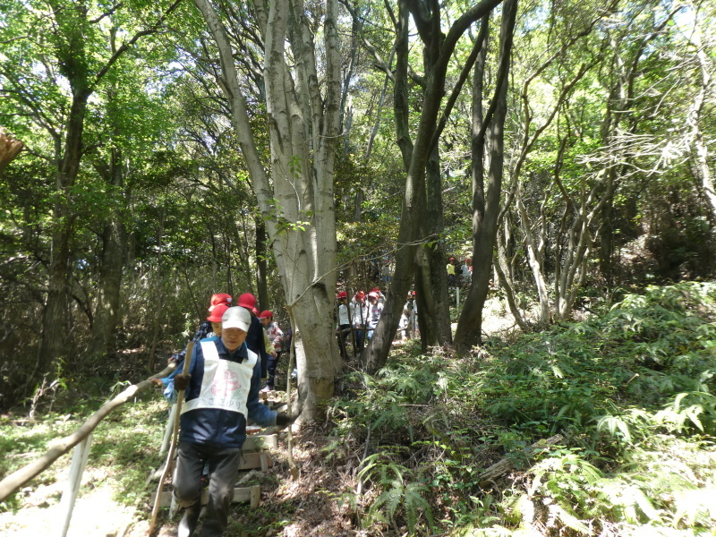 和歌山市立楠見西小学校３・４年生遠足「うみべの森探検」_c0108460_17144666.jpg