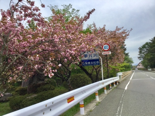 a0053063_17121902.jpeg