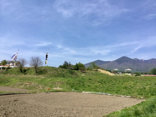 a0053063_17323413.jpeg