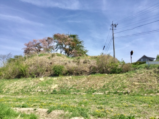 a0053063_17341128.jpeg