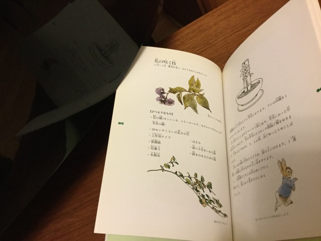 c0331864_21320991.jpeg