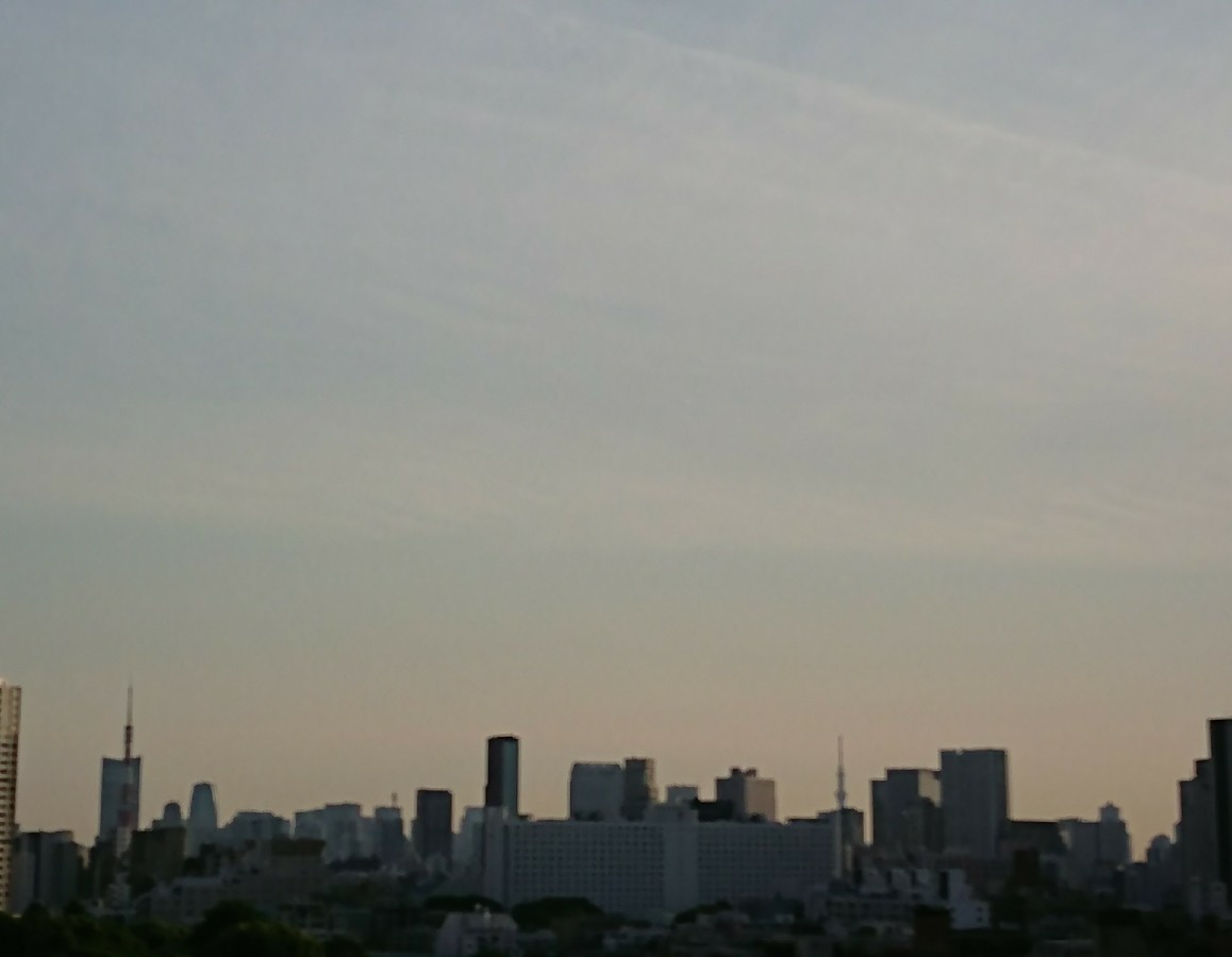 c0100865_05552448.jpg