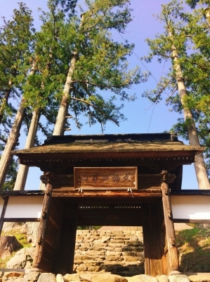 c0248067_13354675.jpg