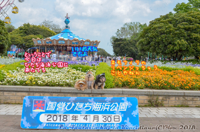 a0004070_11074825.jpg