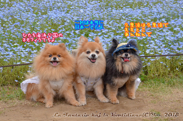 a0004070_11130624.jpg